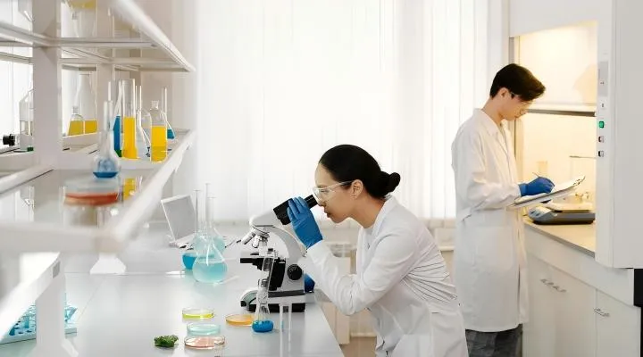 Équipe R&D experte