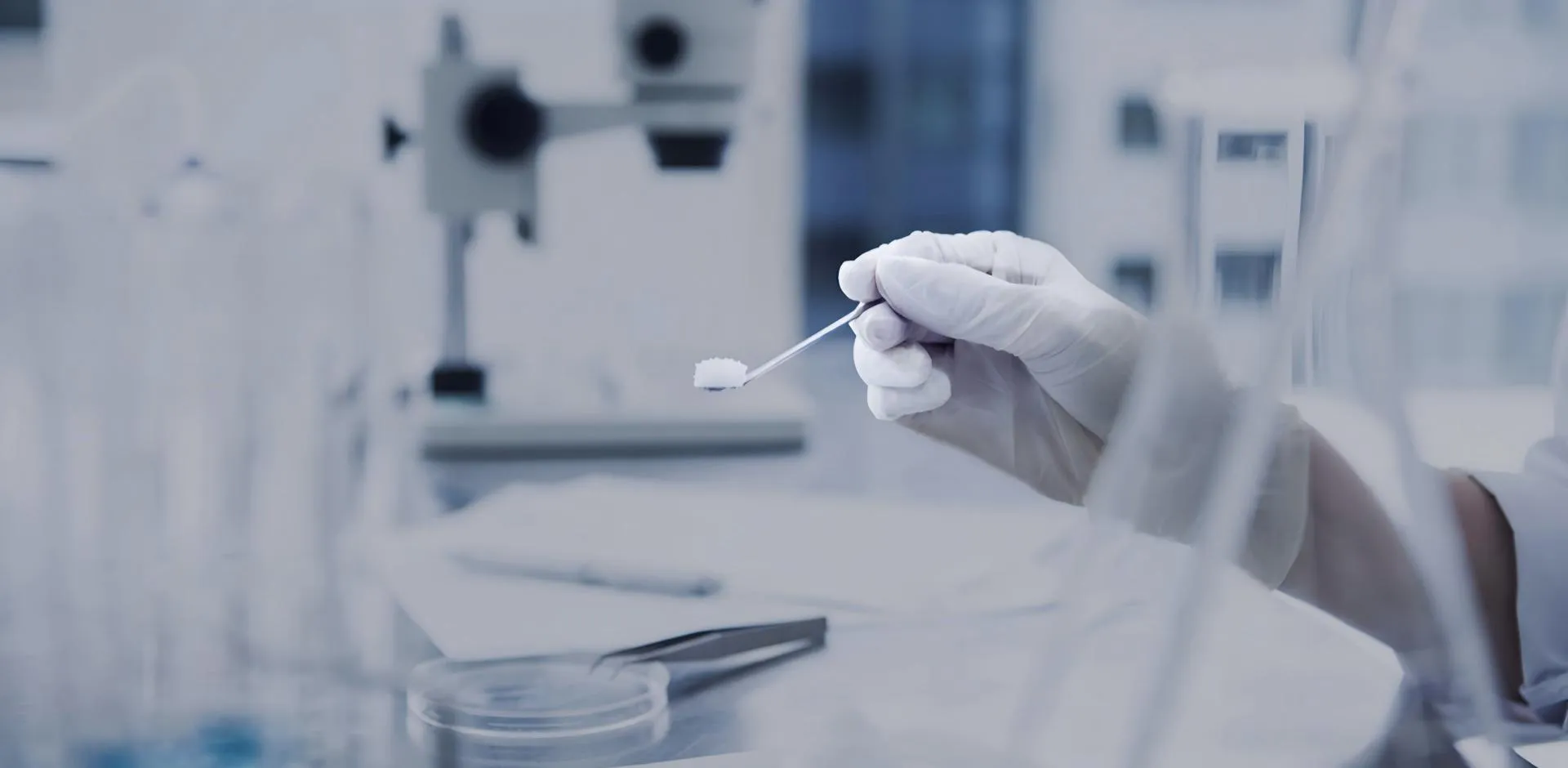 Dérivés de pyrazine de niveau expert : synthèse organique avancée